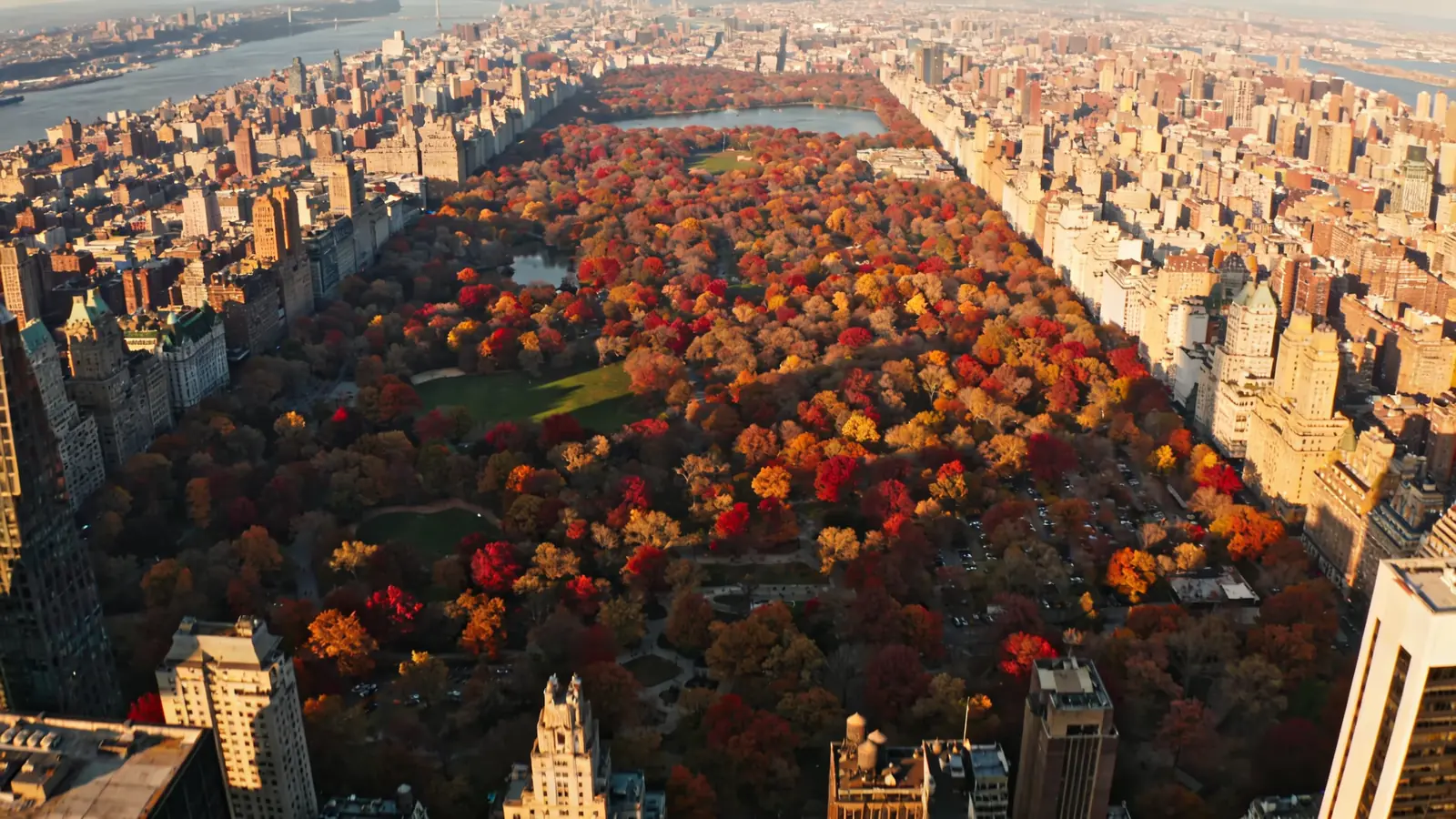 View from Top of the Rock looking north toward Central Park in autumn — Top of the Rock visit tips north view fall foliage
