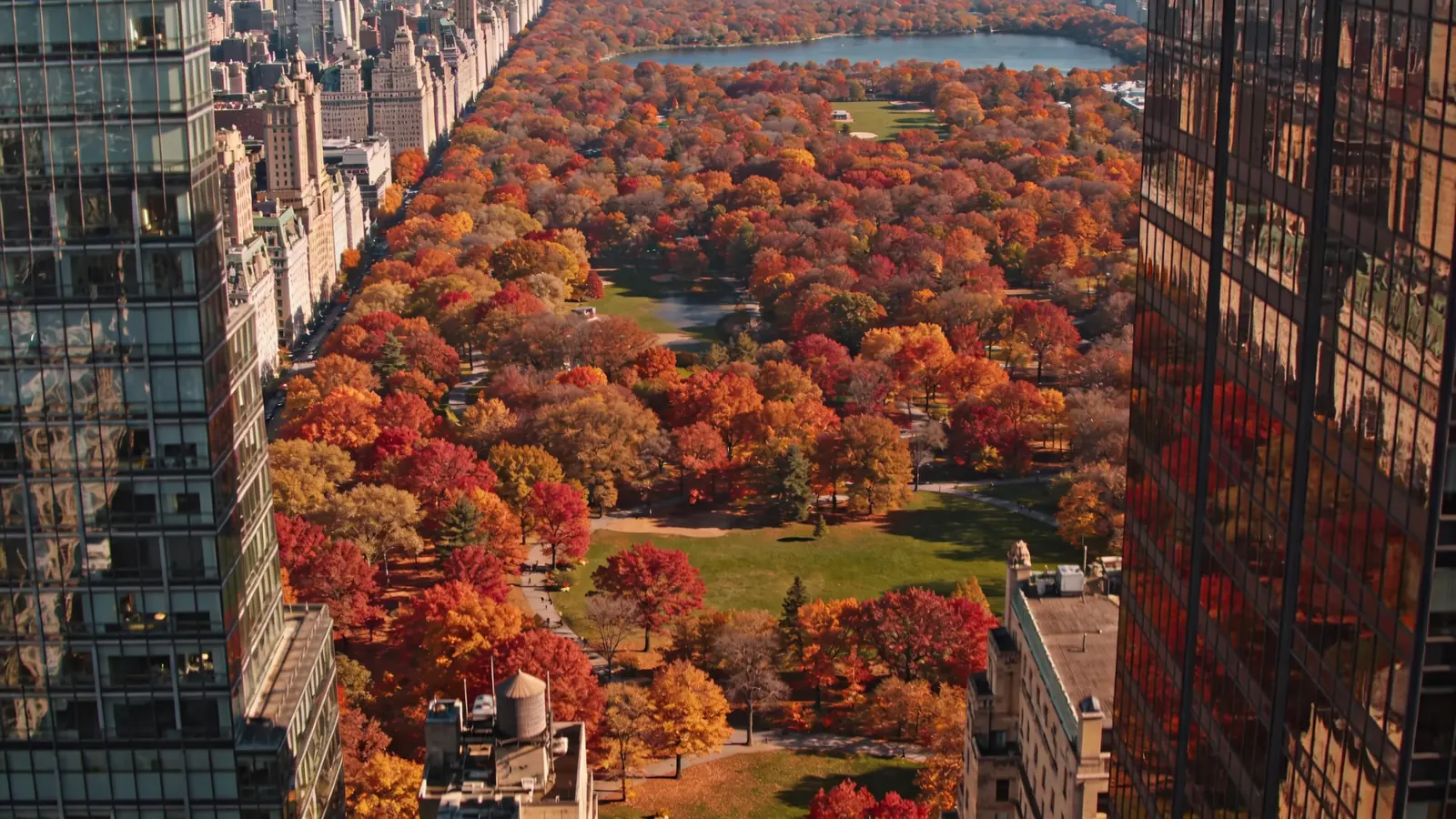 Central Park peak autumn foliage aerial view — best time to visit Top of the Rock fall window